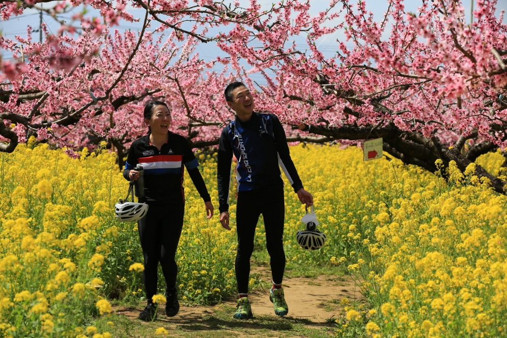 「桃と桜のサイクリング2026〜リニアライドやまなし中央〜」を開催します！