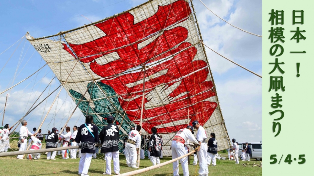 その大きさ日本一！令和８年「相模の大凧まつり」を５月４日・５日に開催します！