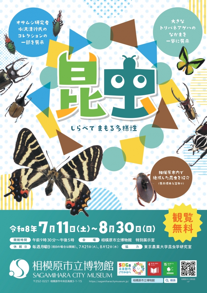 昆虫好きあつまれ！相模原市立博物館で企画展「昆虫 しらべてまもる多様性」を...